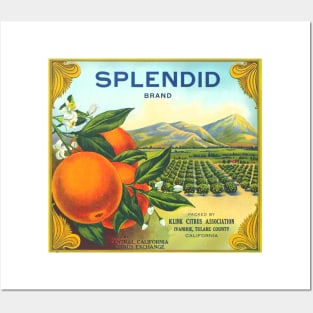 Splendid Brand Oranges Crate Label Posters and Art